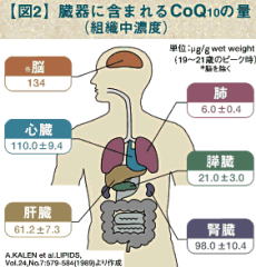 臓器に含まれるCoQ10の量(組織中濃度)