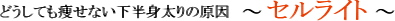 セルライトとは