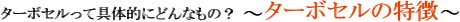 ^[{Z̓