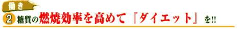 |_œ̔RČ߂āw_CGbgxII