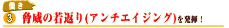 |_AЂ̎ԂiA`GCWOj𔭊I