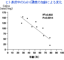 表皮中のCoQ10濃度の変化